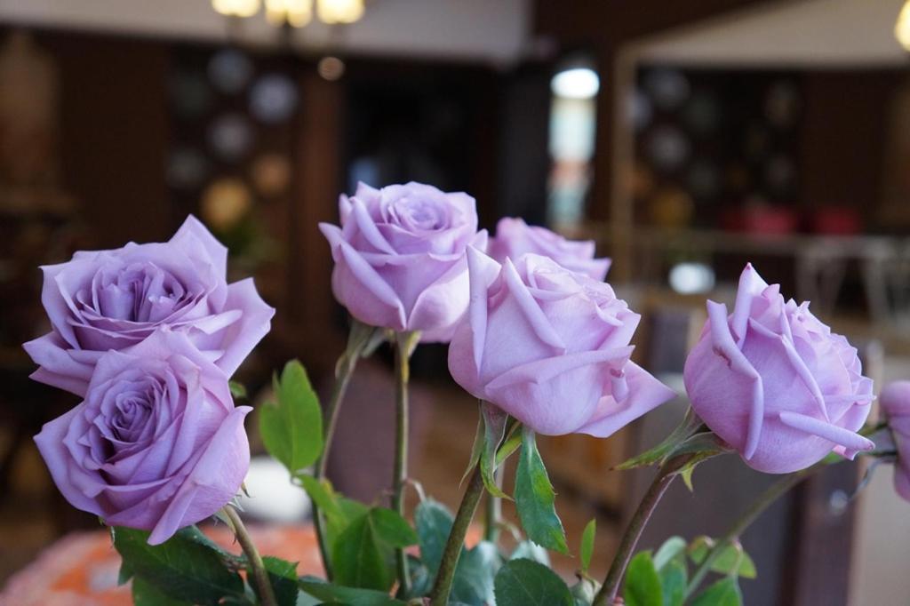 Don Ramon Hotel & Spa Канела Екстер'єр фото